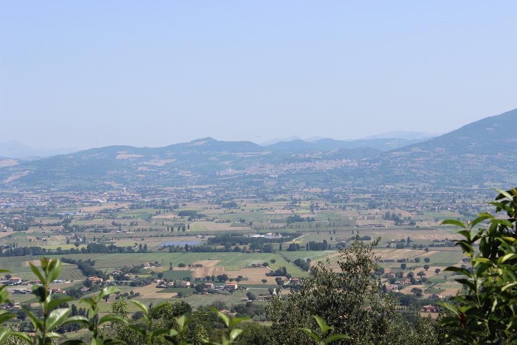 Societa Agricola F.Lli Angelucci Villa Cannara Exterior foto