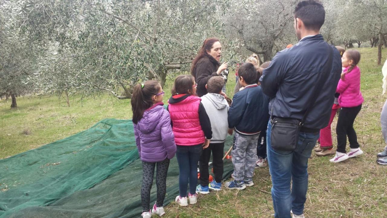 Societa Agricola F.Lli Angelucci Villa Cannara Exterior foto